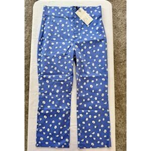 Zara Blue Cropped Daisy Paints Pants Size M